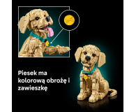 LEGO ICONS 11384 Szczeniak golden retriever - 1488997 - zdjęcie 8